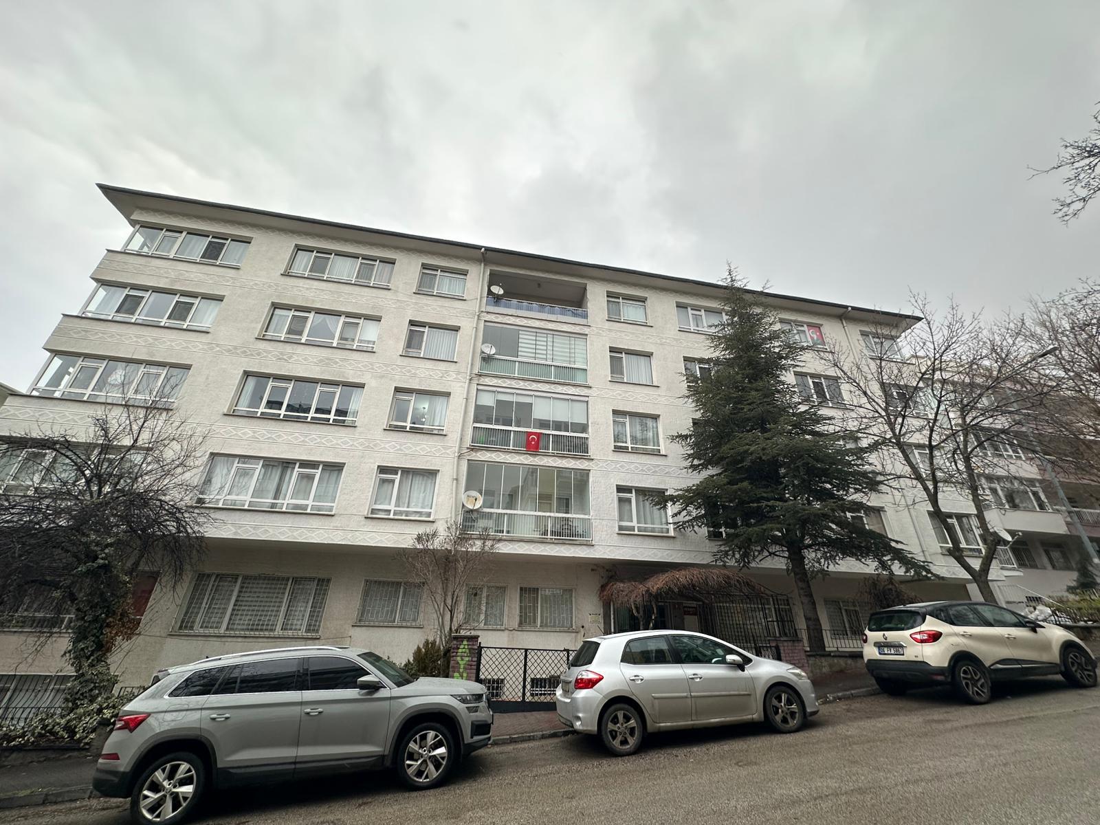 BAŞLICA SAHA ÇALIŞMALARIMIZ